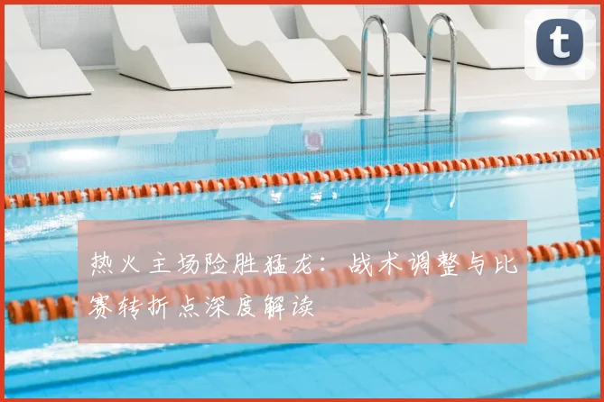 热火主场险胜猛龙：战术调整与比赛转折点深度解读