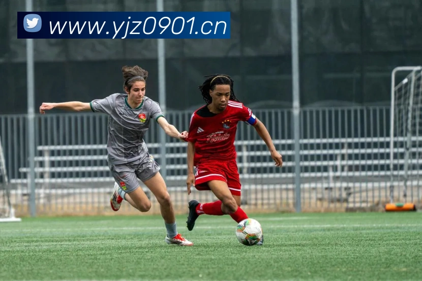 星空体育官方在线观看平台生态图