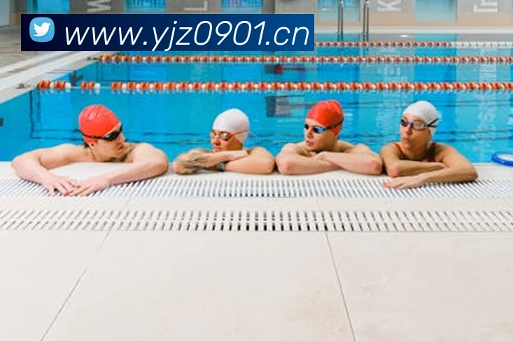 星空体育官方在线观看APP 封面图